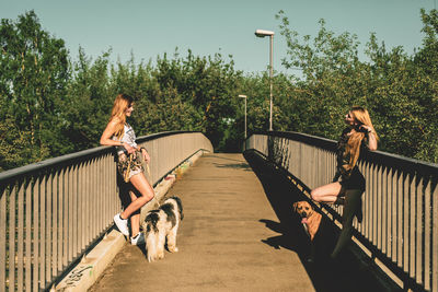 Young women with dogs standing on footbridge against clear sky during sunny day