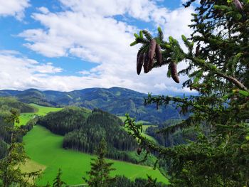 Scenic view of green mountains against sky