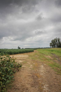 Dirt road passing through field against cloudy sky