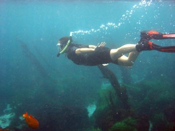 Fish swimming in sea