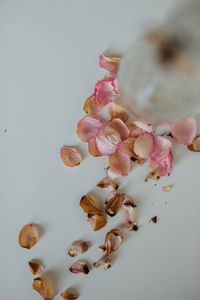 High angle view of pink roses on table
