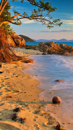 Scenic view of beach against sky