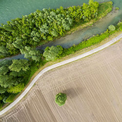 High angle view of rice on road