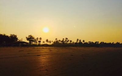 Palm trees on beach at sunset