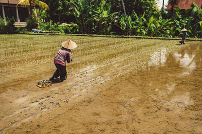 Full length of woman wearing hat on rice field