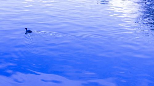 Swimming pool in sea