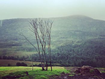 Scenic view of landscape against sky