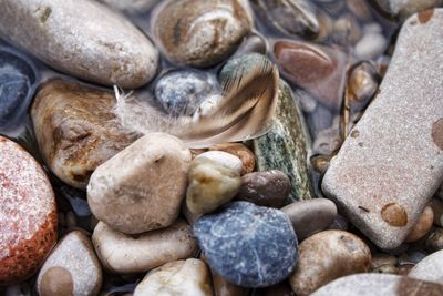 Full frame shot of pebbles