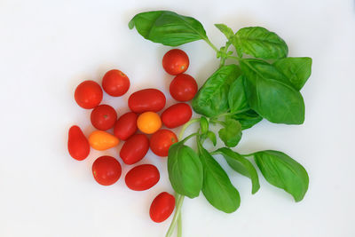 Close-up of fruits against white background