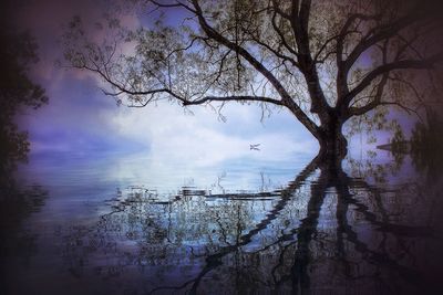 Silhouette bare tree by lake against sky