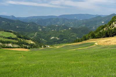 Scenic view of landscape against sky