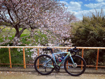 Bicycles parked by railing in park