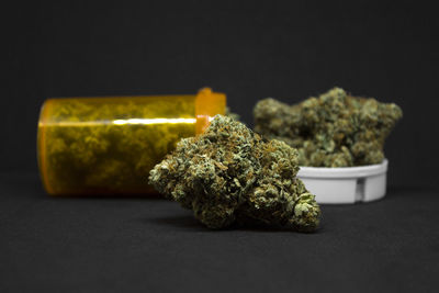 Close-up of green plant on table against black background