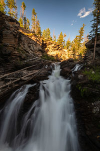 Scenic view of waterfall in forest