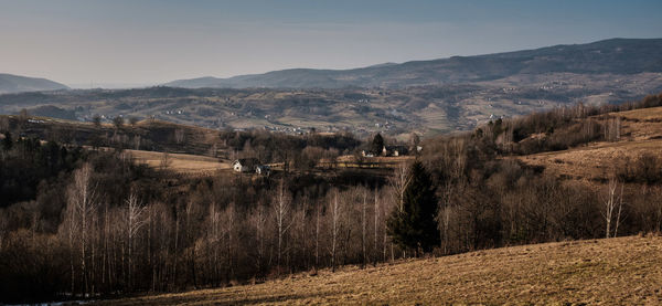 Scenic view of agricultural landscape against sky