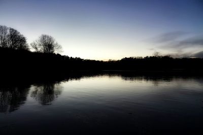 Reflection of trees in calm lake