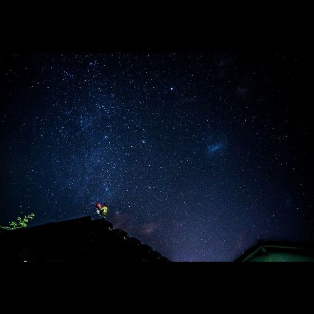 night, star - space, star field, low angle view, astronomy, galaxy, sky, star, beauty in nature, scenics, dark, tree, nature, tranquility, space, silhouette, infinity, tranquil scene, outdoors, milky way