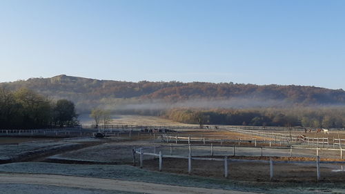 Scenic view of field against clear sky