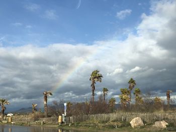 Plants growing on land against sky