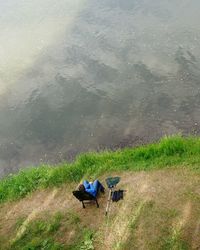 View of grass in water