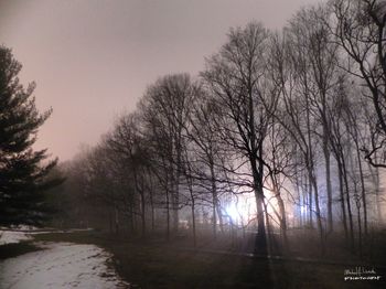 Bare trees on landscape against clear sky