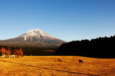 Scenic view of mountains against clear sky