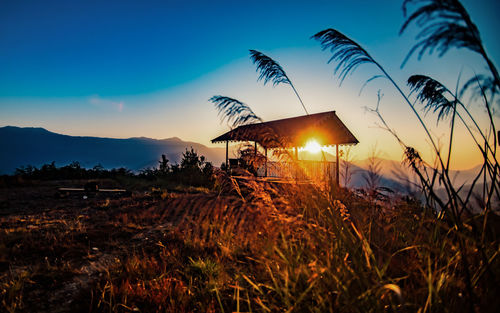 sunset