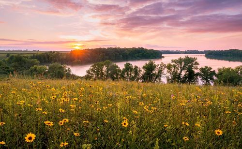 Scenic view of field against sky during sunset