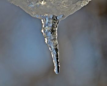 Close-up of water splashing