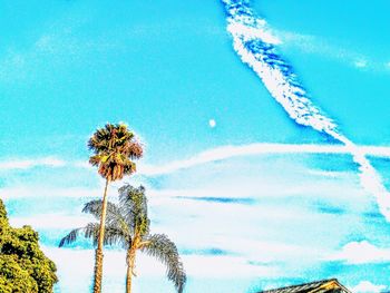 Low angle view of trees against blue sky