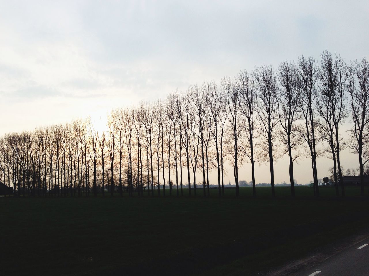 SILHOUETTE OF BARE TREES ON LANDSCAPE AGAINST SKY