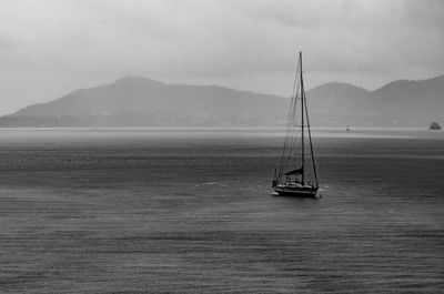 Sailboat sailing on sea against sky