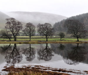 Scenic view of lake by trees against sky