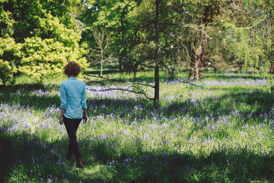 Rear view of woman walking amidst plants at forest