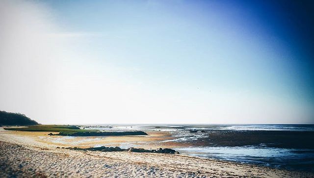 beach, sea, sand, horizon over water, tranquil scene, tranquility, water, shore, copy space, scenics, clear sky, beauty in nature, nature, sky, blue, coastline, idyllic, remote, day, non-urban scene