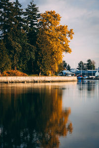 Trees by lake against sky during autumn