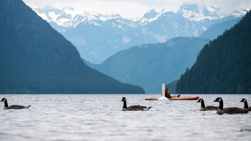 Birds perching on lake against mountains