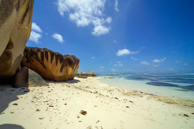 Scenic view of beach against blue sky