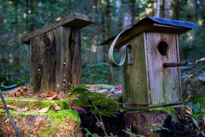 Birdhouse on tree stump in forest