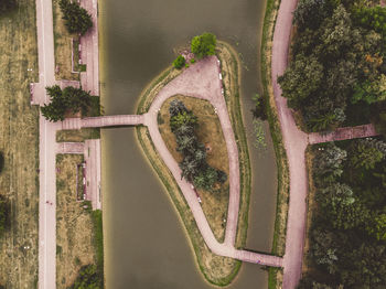 High angle view of trees by plants