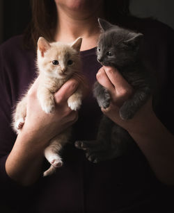 Close up of a woman holding a small adorable kitten in each hand.