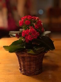 Close-up of flowers in basket