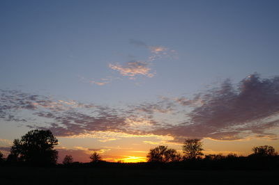 Silhouette trees against sky during sunset