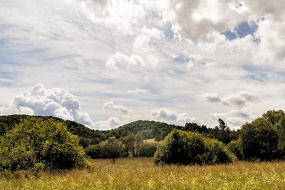 Scenic view of landscape against sky