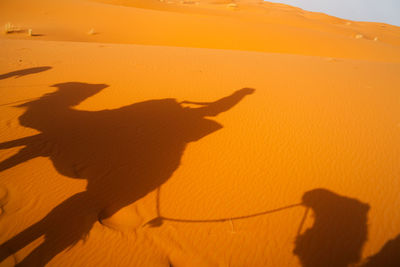 Shadow of people on sand