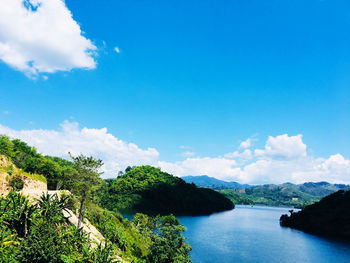 Scenic view of trees against blue sky