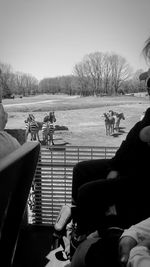 Woman sitting on tree