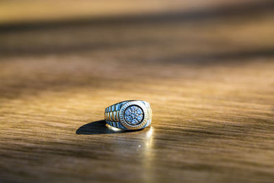 Close-up of shell on metal table