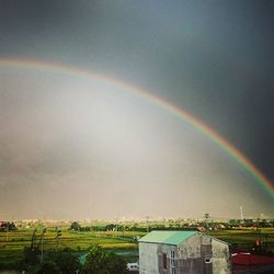 Rainbow over field