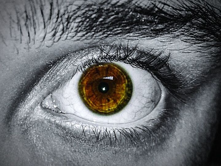 human eye, close-up, eyeball, human body part, eyesight, iris - eye, eyelash, sensory perception, people, one person, vision, adult, day